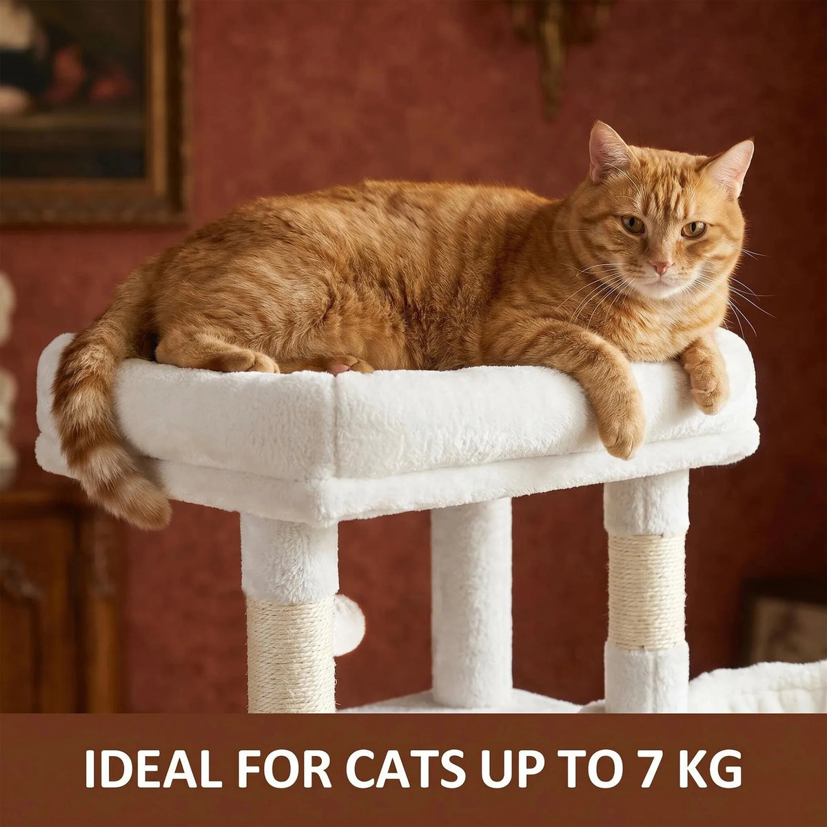 Arbre à Chat 210 cm avec Hamac – vue 8