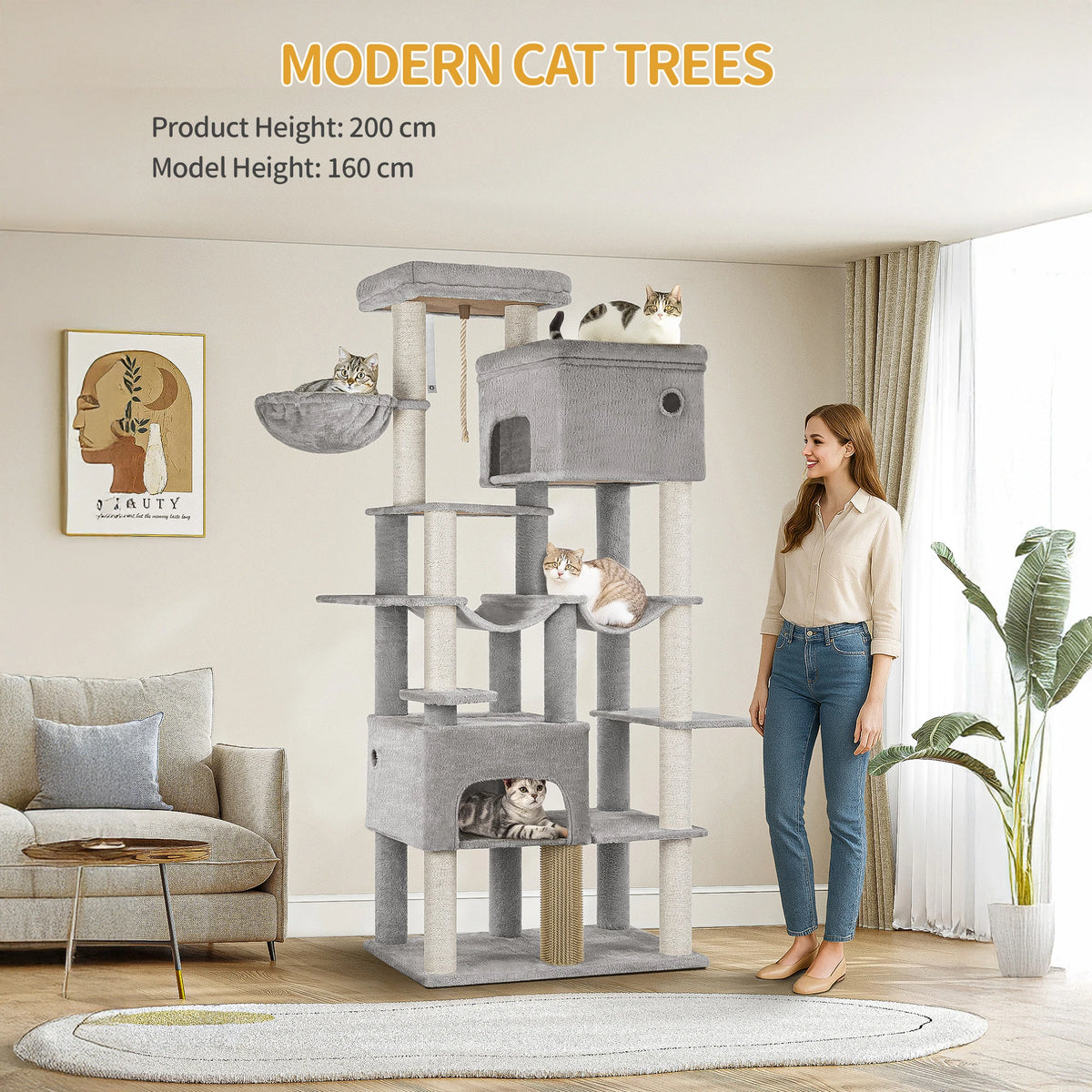 Arbre à Chat XXL Maine Coon