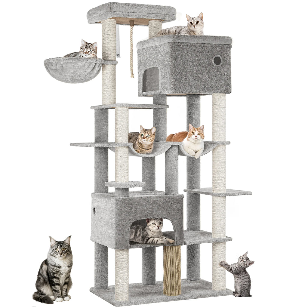 Arbre à Chat Maine Coon XXL avec 2 Hamacs - Léon