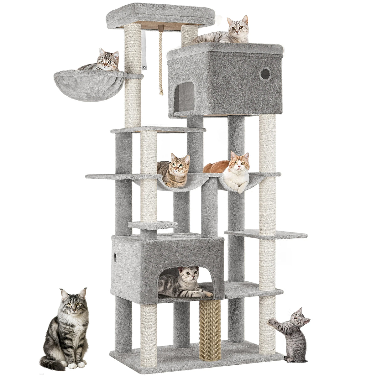 Arbre à Chat Maine Coon XXL avec 2 Hamacs - Léon