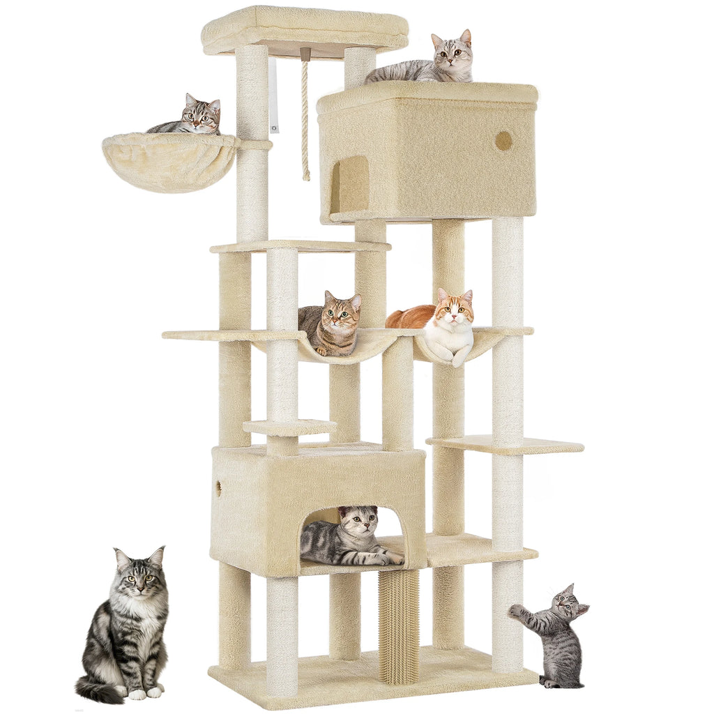 Arbre à Chat Maine Coon XXL avec 2 Hamacs - Léon
