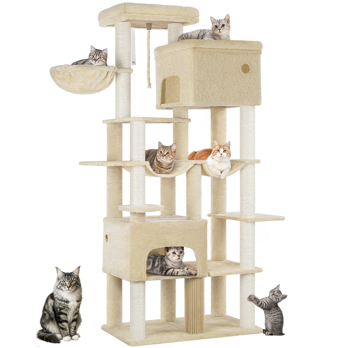 Arbre à Chat Maine Coon XXL avec 2 Hamacs - Léon