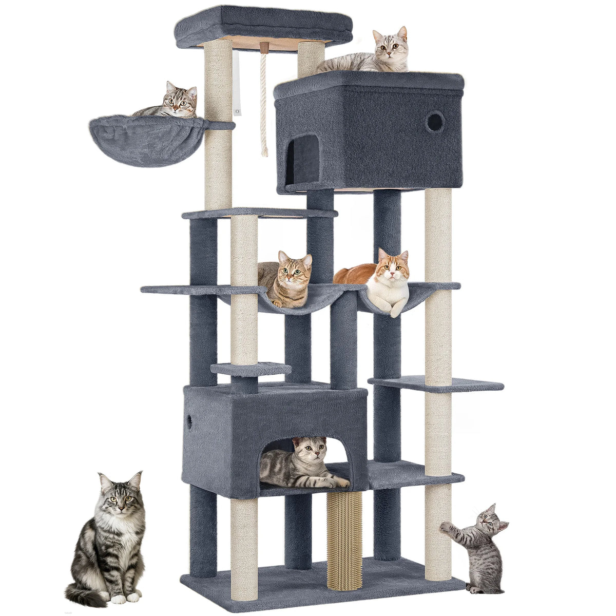 Arbre à Chat Maine Coon XXL avec 2 Hamacs - Léon