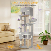 Arbre à Chat 203 cm