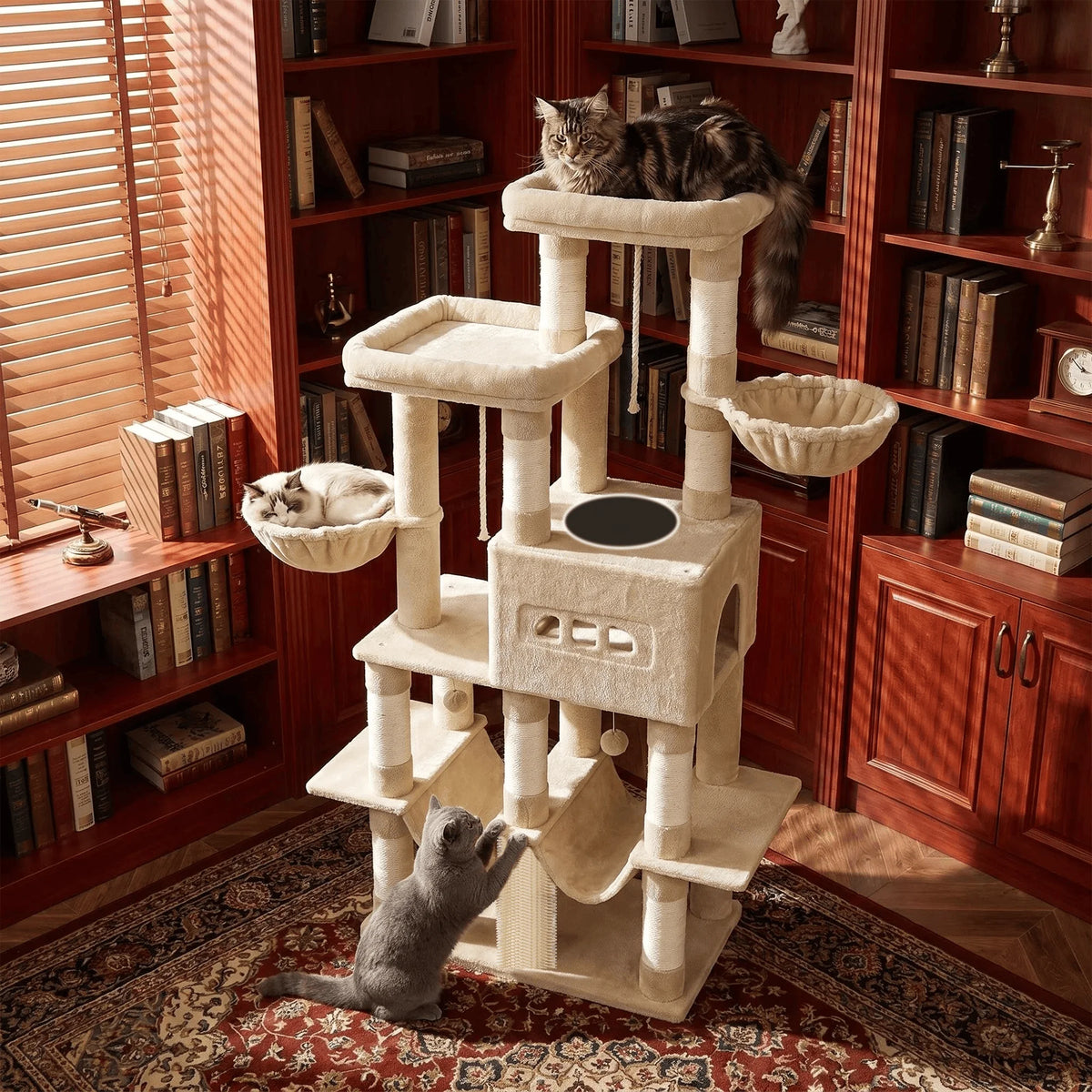 Arbre à Chat XL 176 cm Maine Coon – vue 5