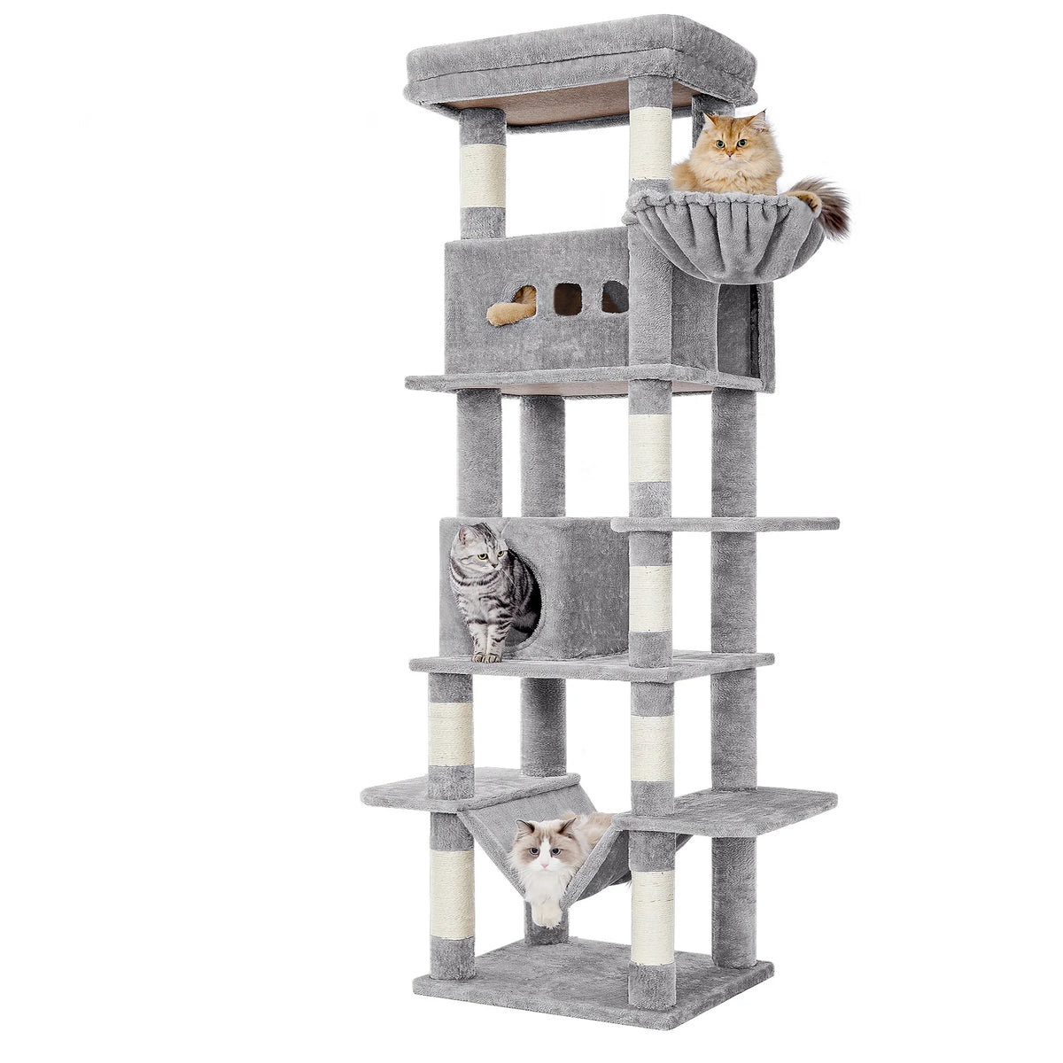 Arbre à Chat XXL 210 cm avec Hamac - Oscar