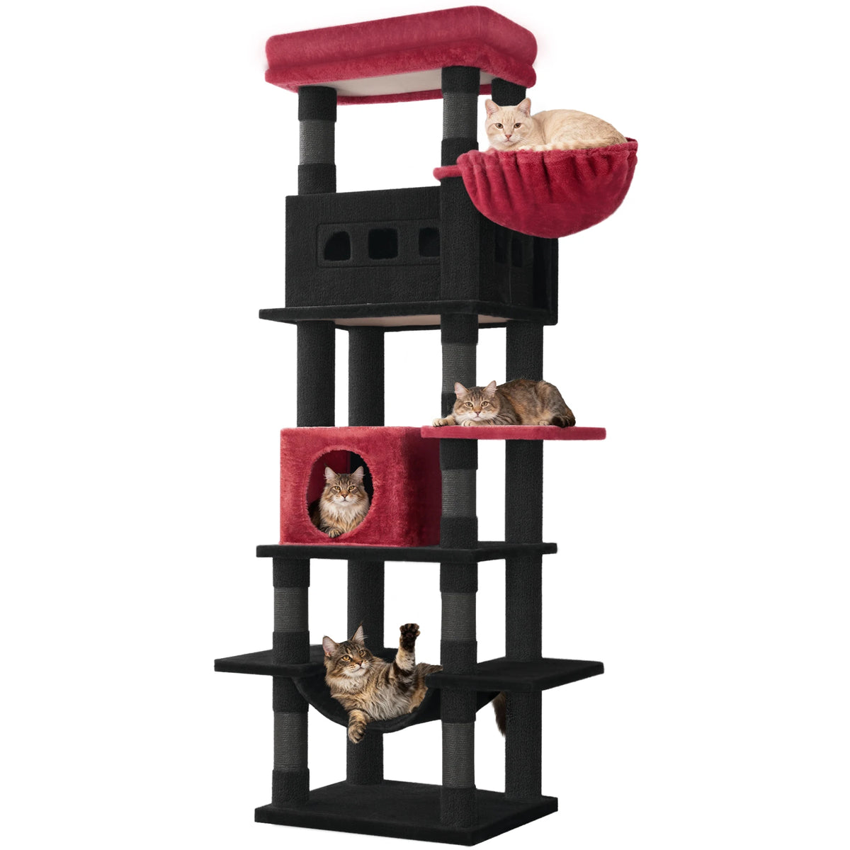 Arbre à Chat 170 cm avec Hamac et Grotte - Milo