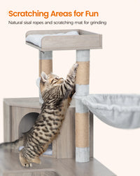 Arbre à Chat avec Meuble Litière 4-en-1 – vue 3